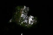 DSC03703.JPG