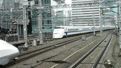 P3100508.jpg