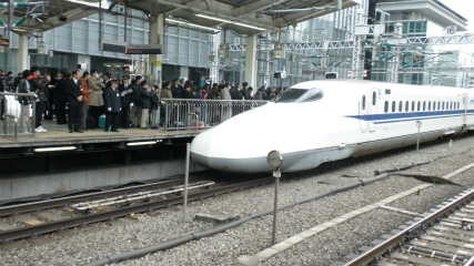 P3100502.jpg