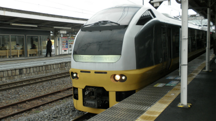 P3100529.jpg