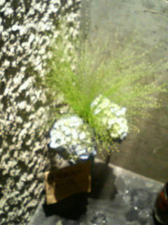 200806200022000.jpg