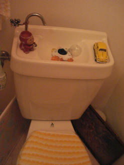 toilet4.JPG