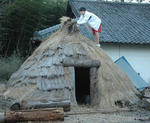 20090125_01_1.jpg