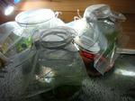 2010090501.JPG