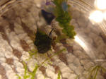 2010092607.JPG