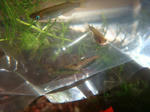 2010100115.JPG