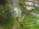2010100119.JPG