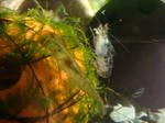 2010101501.JPG