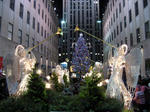 IMG_2283.jpg