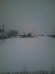 080203_1213~0001.jpg