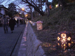 P1000527.jpg