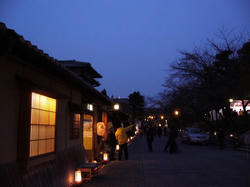 P1000460.jpg