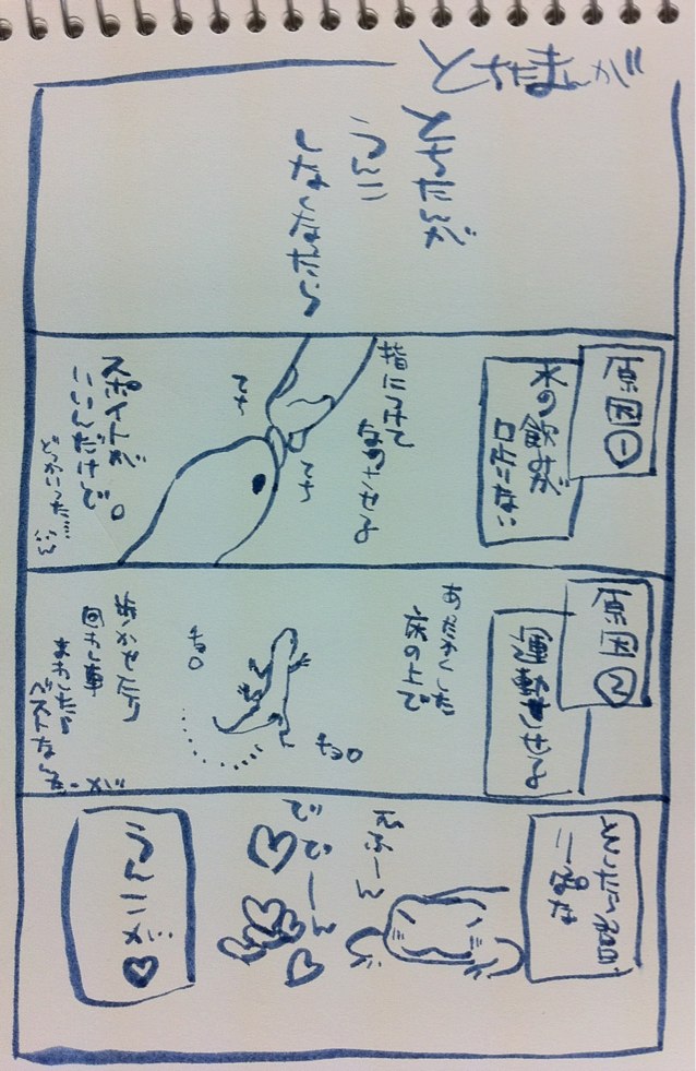 便秘 レオパ