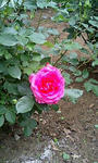 d9316fe0.jpg