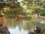 DSCF0862.JPG