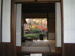 DSCF0900.JPG