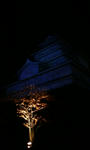 7df0856f.jpg