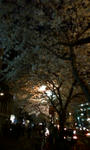 d72d0a86.jpg