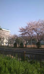 6643de70.jpg