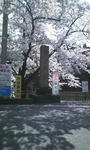 090418_1319~01.jpg