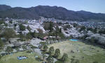 090418_1405~01.jpg
