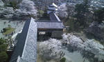 090418_1408~01.jpg