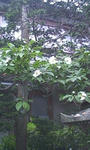 5aab0302.jpg