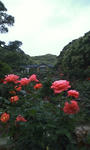 107f24f3.jpg