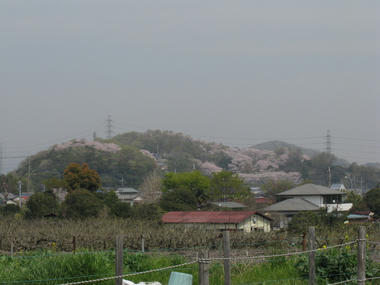 ふじやま