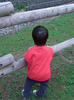 080503_173523_R.jpg