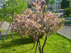 080513_161713_R.jpg