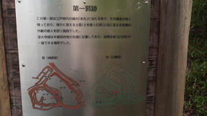 101007_1242~01.jpg