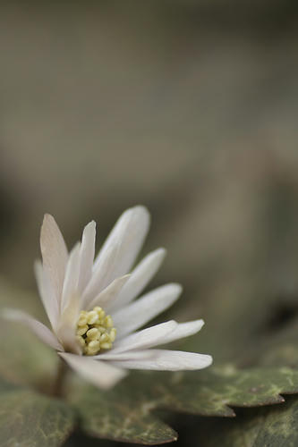 _MG_1022.jpg