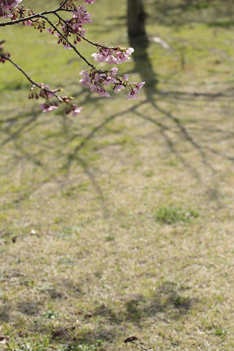 _MG_1072.jpg