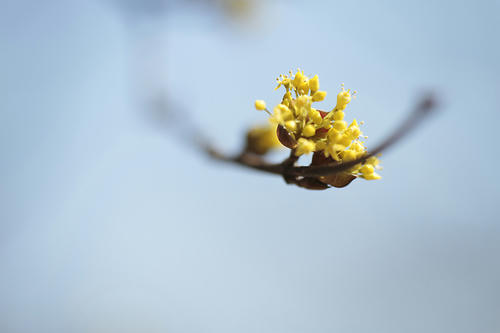_MG_1104.jpg