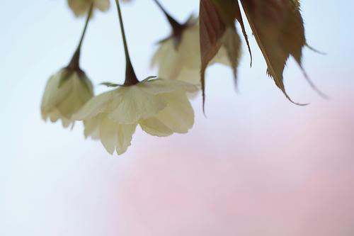 _MG_2285.jpg