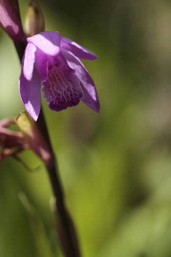 _MG_2548.jpg