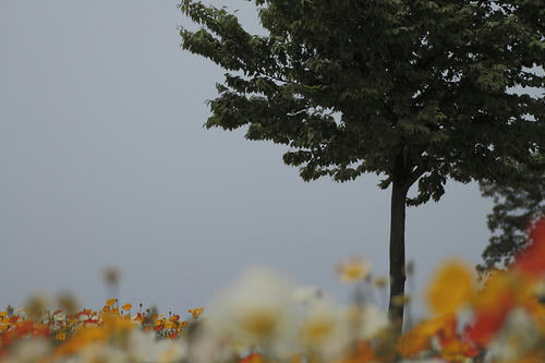 _MG_2709.jpg
