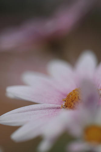 _MG_2632.jpg