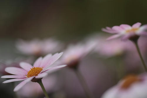 _MG_2633.jpg