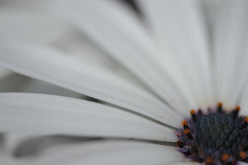 _MG_2634.jpg