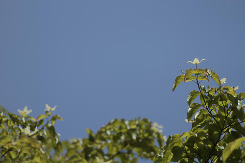 _MG_2834.jpg
