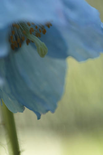 _MG_2847.jpg