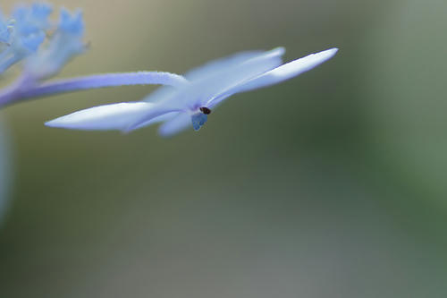 _MG_3175.jpg