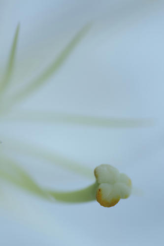 _MG_3182.jpg