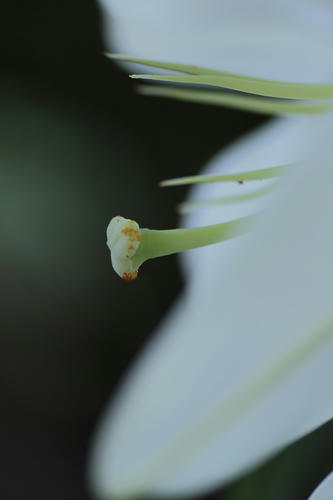 _MG_3184.jpg