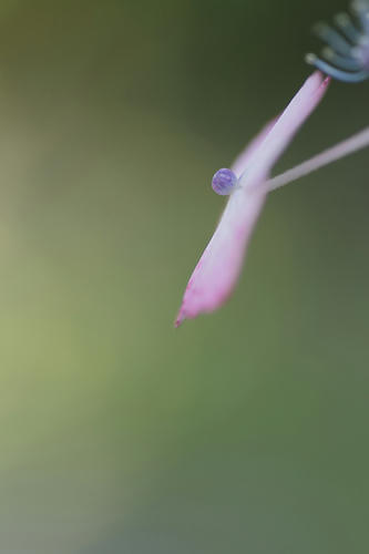 _MG_3207.jpg