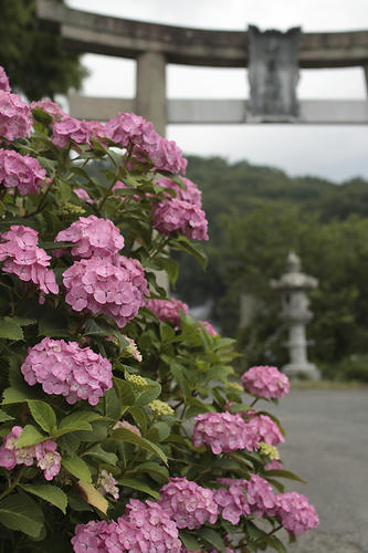 _MG_3526.jpg