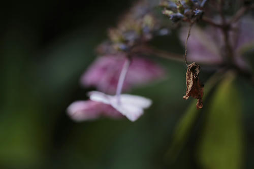 _MG_3625.jpg