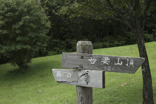 _MG_3841.jpg